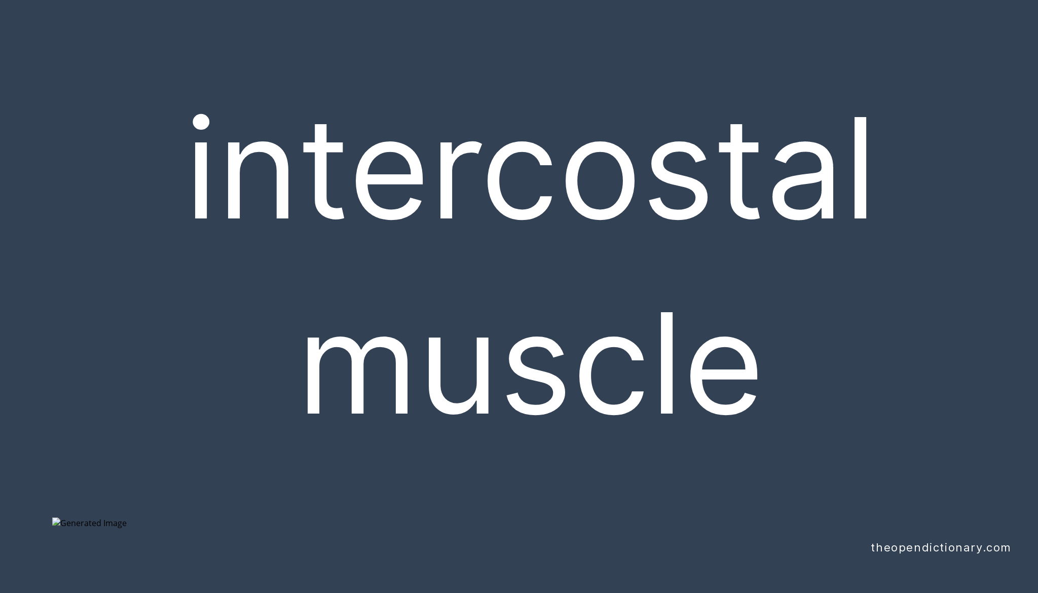 intercostal-muscle-meaning-of-intercostal-muscle-definition-of